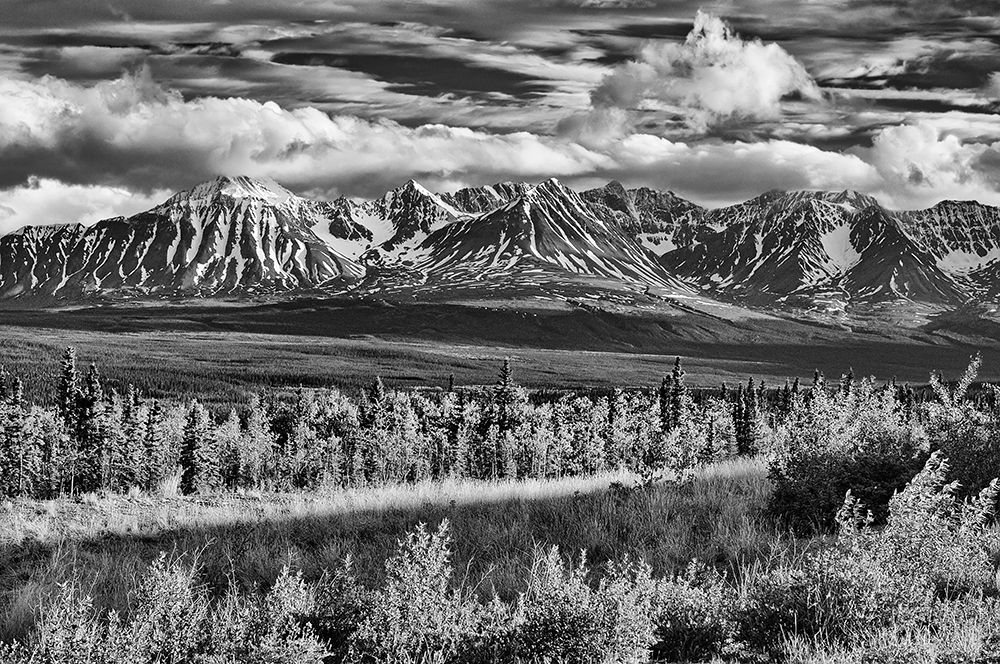 Canada-Yukon-Haines Junction St Elias Mountains landscape art print by Jaynes Gallery for $57.95 CAD